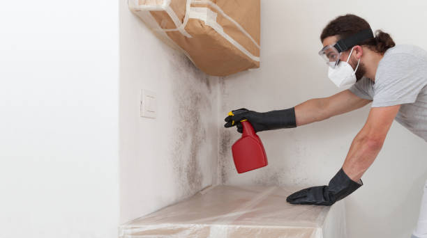 Professional Mold Remediation technician working in Brookline, MA