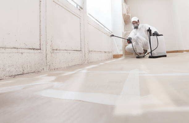 24/7 Emergency Mold Remediation experts in Brookline, MA